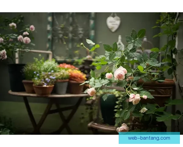 午夜视频：光影交织的秘密花园，点亮你心中的渴望